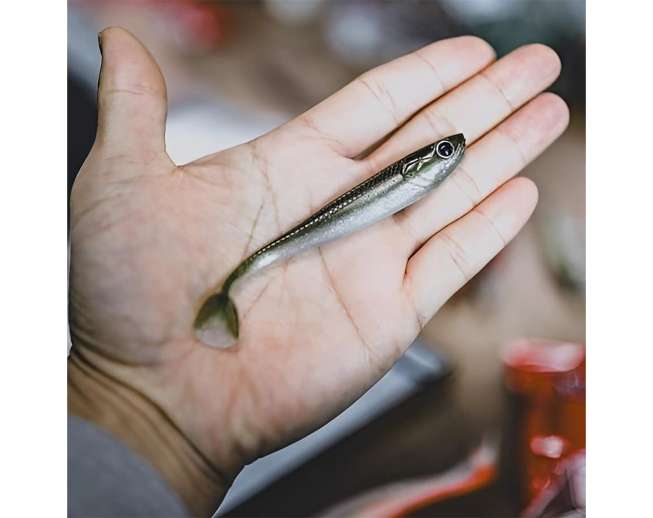 Molix RT Shad 4¨ Slim